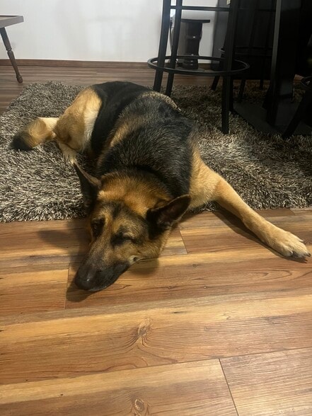 Building Photo - 5711 N Hermosa Ct