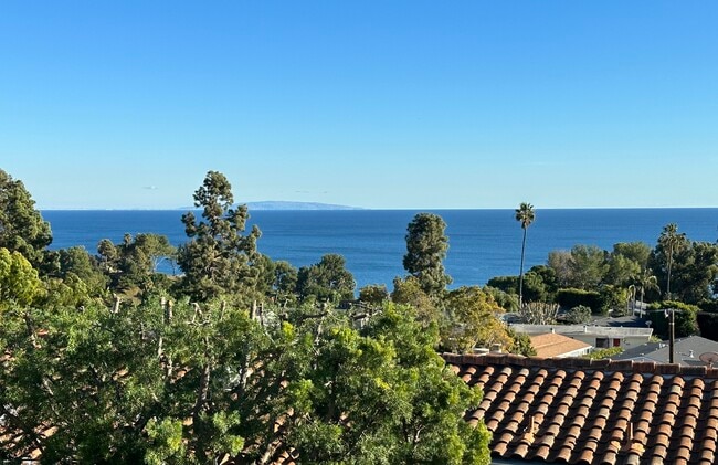 Building Photo - 28204 Rey de Copas Ln