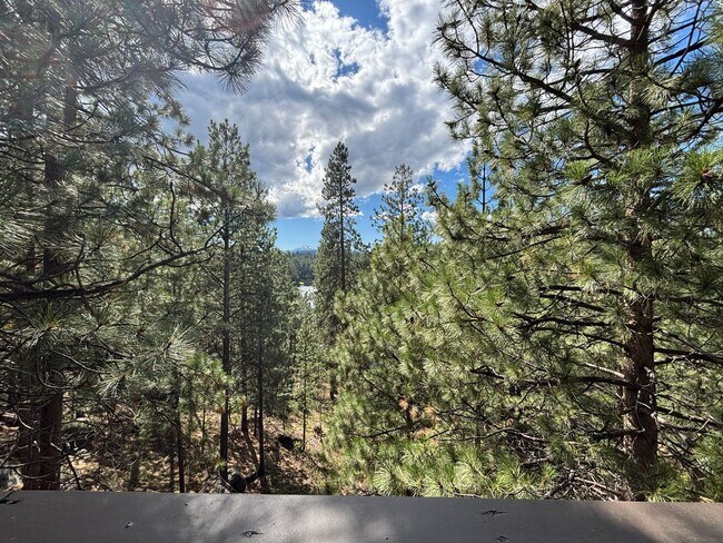 Building Photo - Stunning 3 Bed/ 2.5-Bath Home on the River...