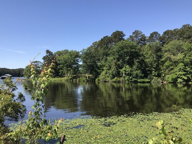 Building Photo - 30610 LA-9