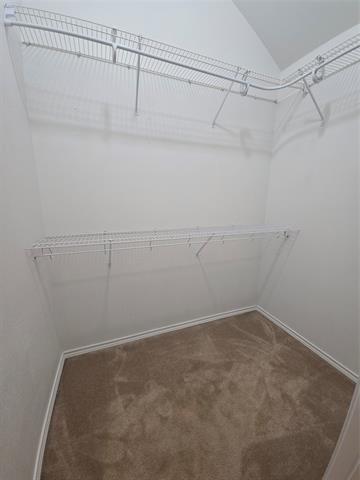 Building Photo - 10608 Red Cedar Dr