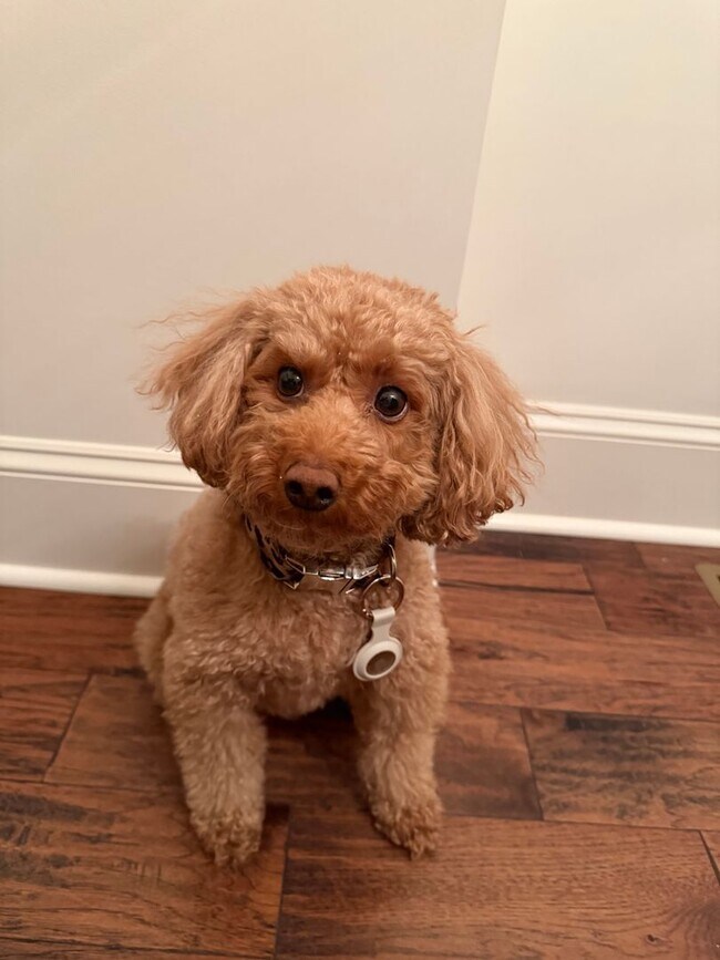 Building Photo - Nice two bedroom condo on one level in Hermitage