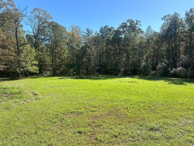 Building Photo - 89 Pine Oak Ln