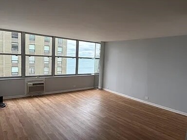 Building Photo - 1000 N Lake Shore Dr