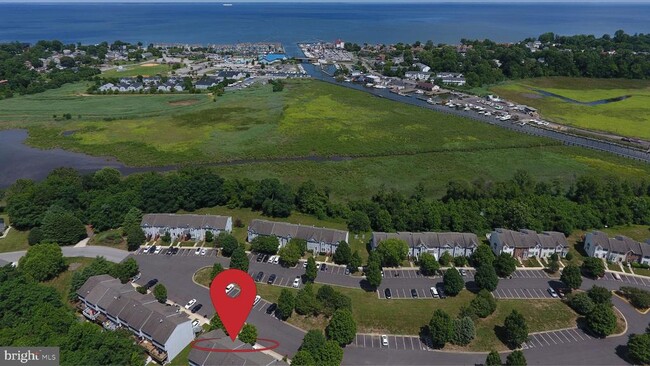 Building Photo - 8000 Delores Ct
