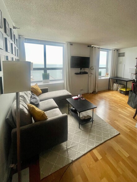 living space and view - 474 N Lake Shore Dr