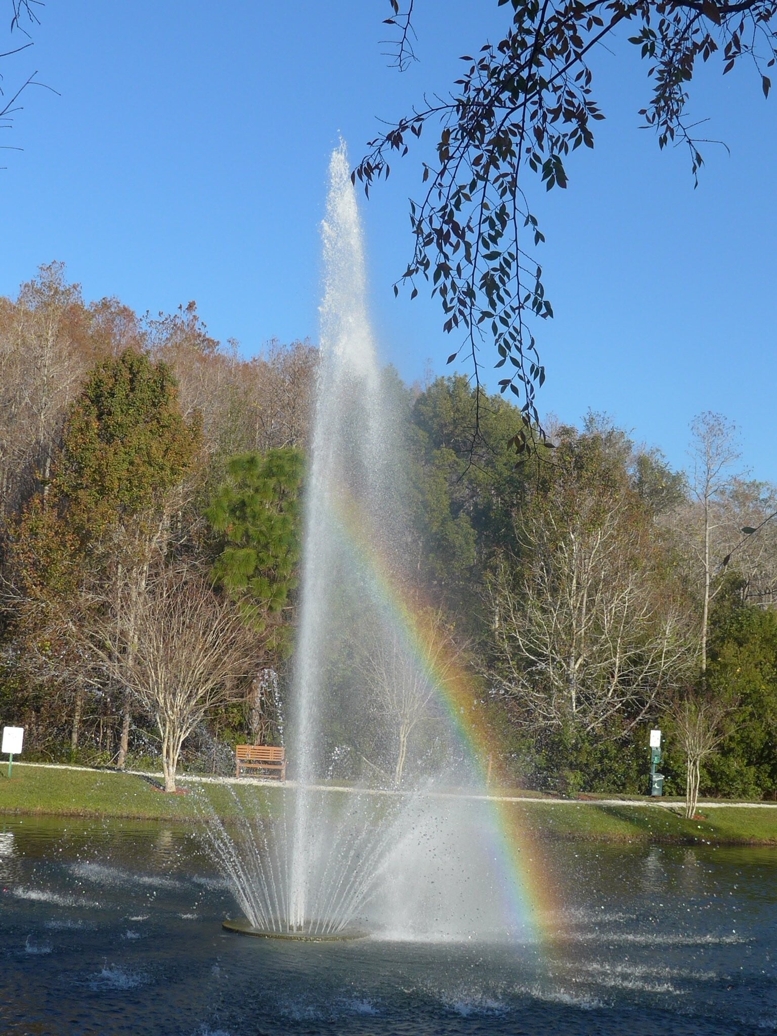 Building Photo - 5475 Vineland Rd