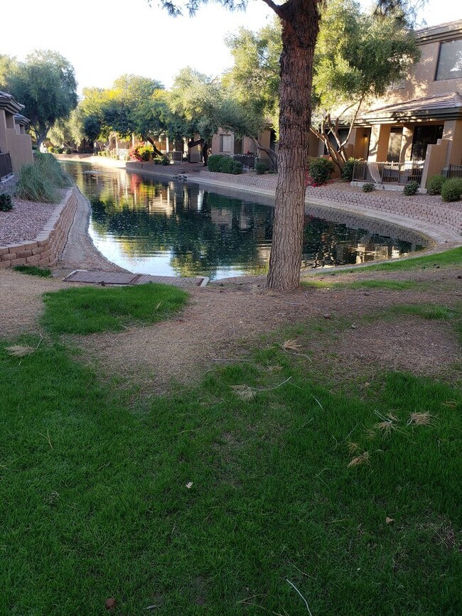 Building Photo - COMING SOON IN THE BRIDGES OF OCOTILLO CHANDLER