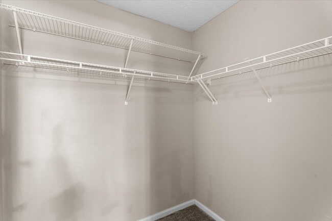 Building Photo - 575 Oakleaf Plantation Pkwy