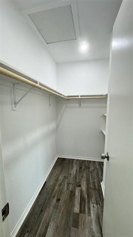 Building Photo - 2314 Garden Park Ct