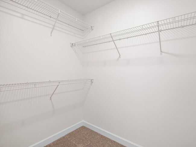 Building Photo - Beautiful New Construction--3 Bedrooms, 2 ...