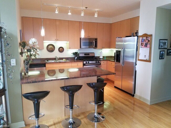 Building Photo - 1 br, 2 bath Condo - 1250 South Michigan A...