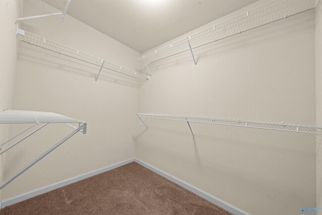 Building Photo - 313 Mertle Dr