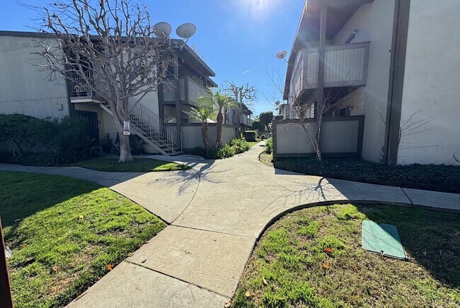 Building Photo - 808 Coriander Dr