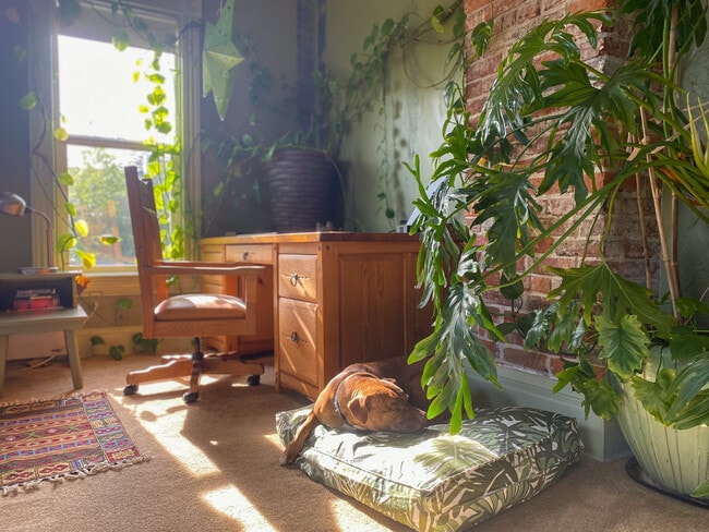 Building Photo - 1311 N Garden St