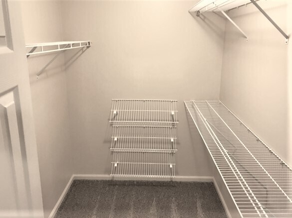 Building Photo - 13 Sweetwater Ln