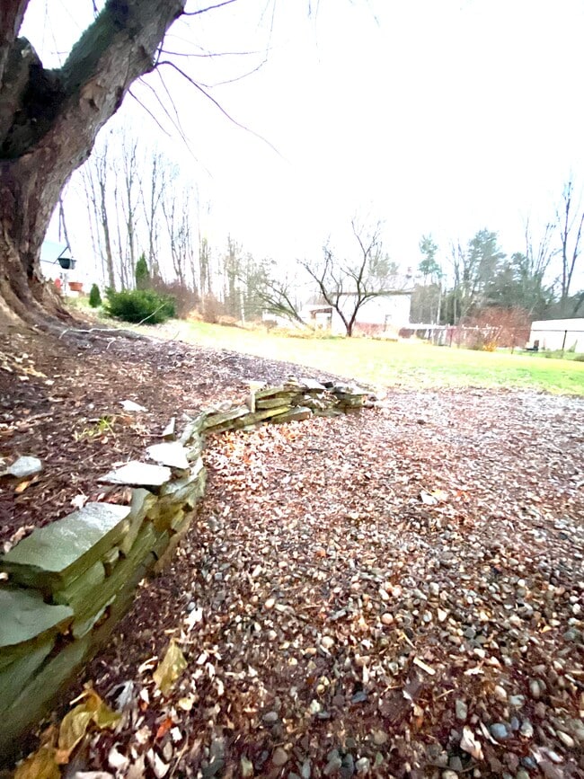 Building Photo - 4002 Chatham St