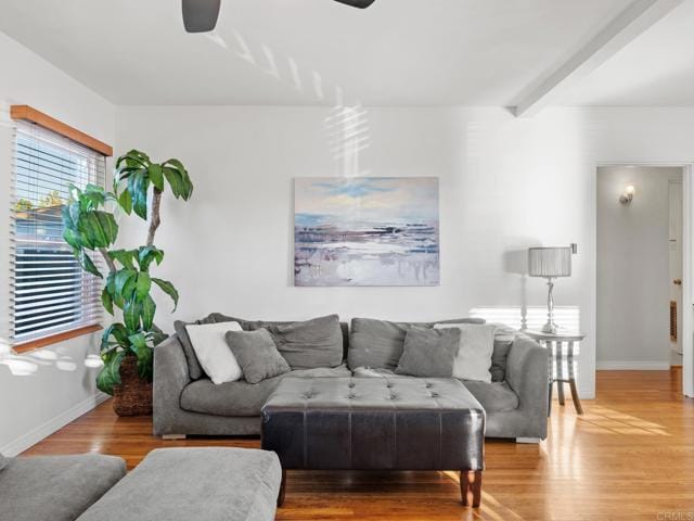 Building Photo - 367 Hedge Way