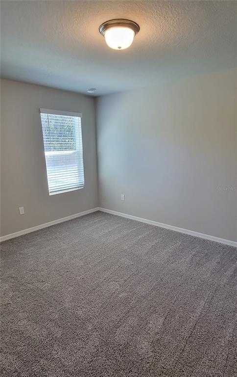 Building Photo - 17317 Cagan Crossings Blvd