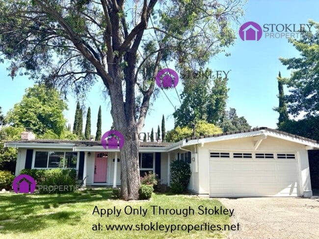 Building Photo - Stokley Properties Presents 1558 1St. Ave....