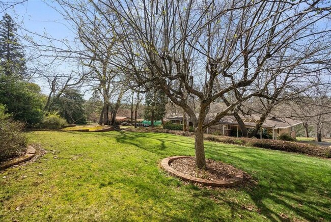 Building Photo - Meadow Vista Dream with bonus room!
