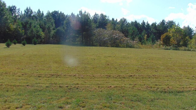 Building Photo - 3 Bedroom 2 Bathroom sitting on 1.08 acres!!