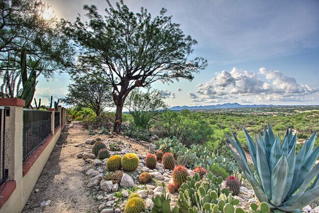 Building Photo - 1195 Camino Diestro-SI ID1385973P