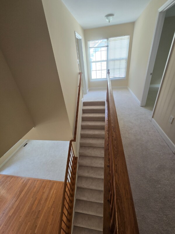 Building Photo - 5653 Cabinwood Ct