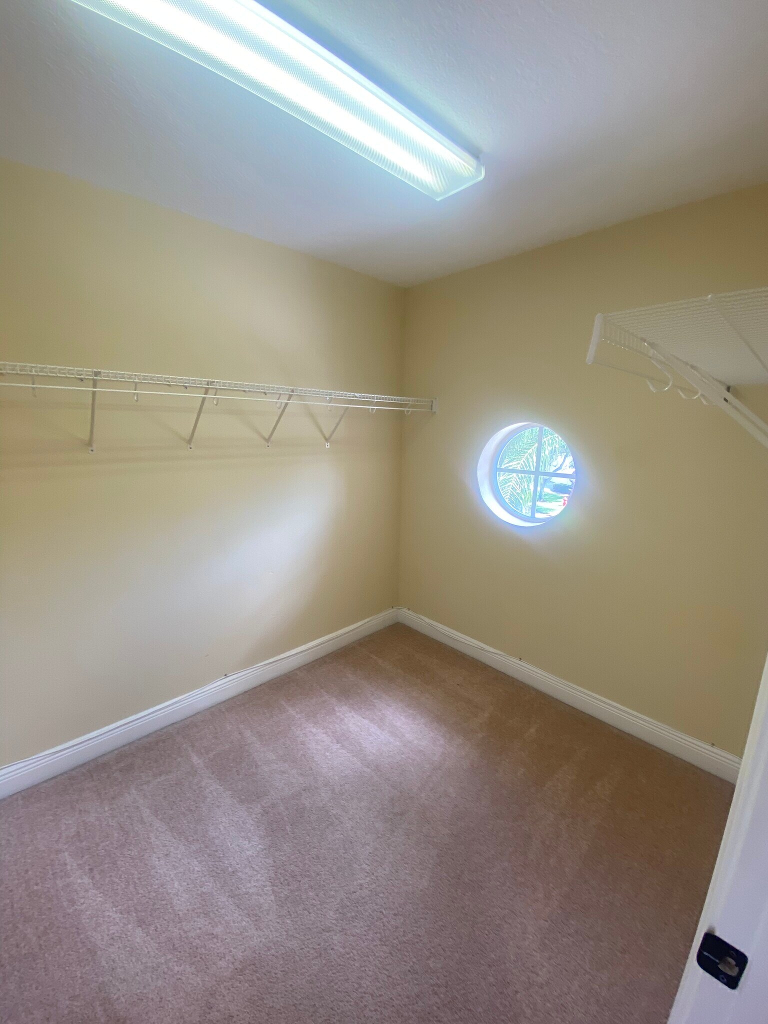 Building Photo - 241 Valencia Cir