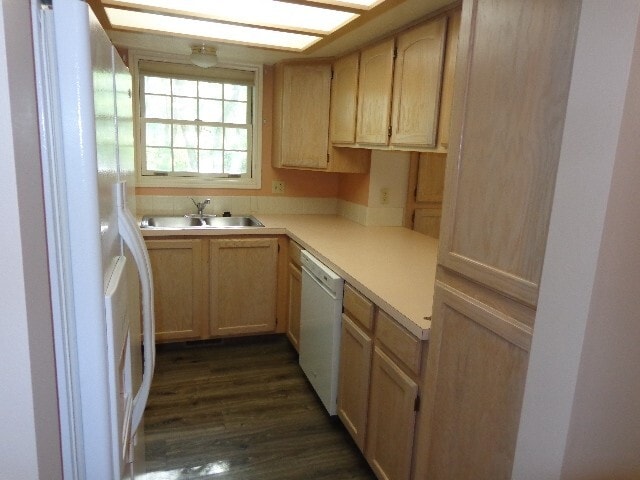 Building Photo - 954 Schneitter Cir