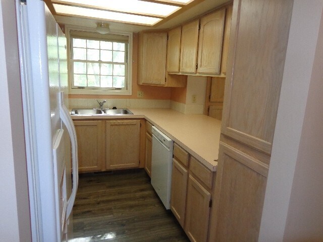 Building Photo - 954 Schneitter Cir