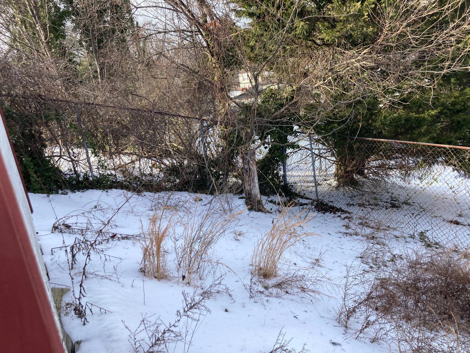 Building Photo - 3804 Charred Oak Dr