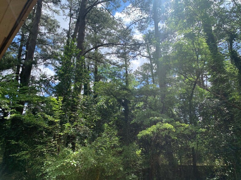 Building Photo - 1206 Lafayette Ave