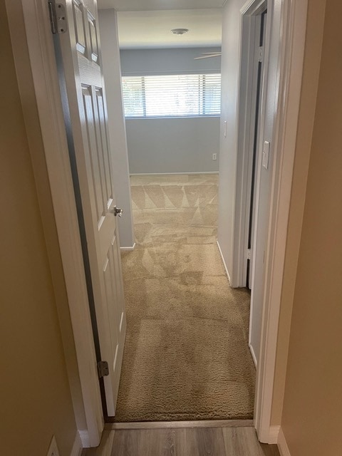 Master BDRM private entry - 1441 Prospect Ave