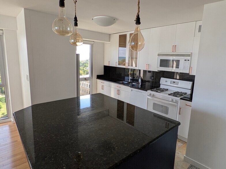 6. Kitchen - 1960 N Lincoln Park W
