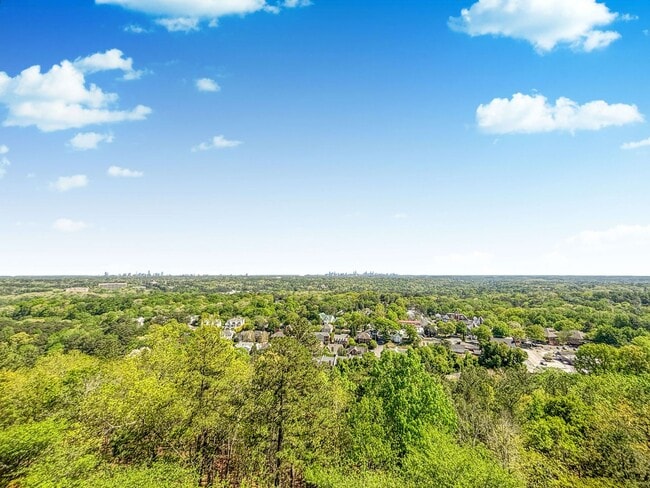 Building Photo - A 2 BR Lifestyle of Luxury at One Vinings Mountain!