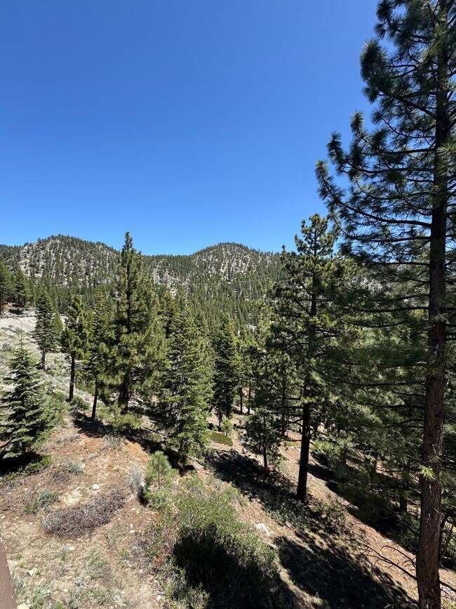 Building Photo - 115 Tramway Dr