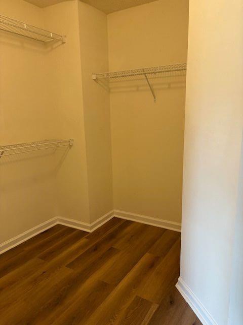 Building Photo - 1504 Park Grove Dr