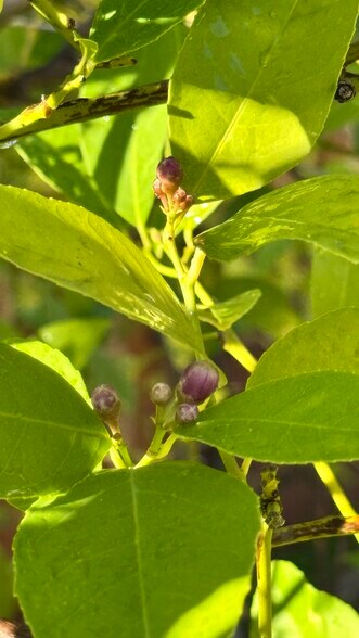 Building Photo - 2825 King Edward Dr