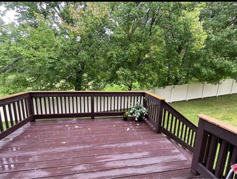 Building Photo - 205 Serendipity Dr