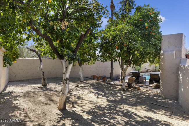 Building Photo - 9335 E Casitas Del Rio Dr