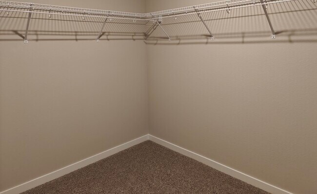 Walk in closet - 10809 S 178th Ave
