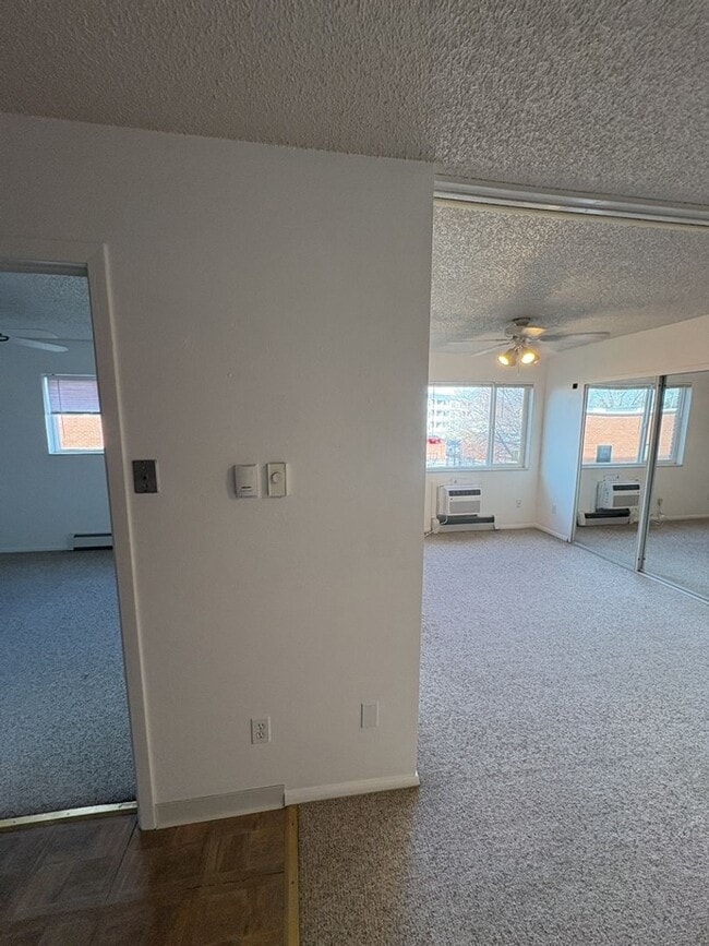 Building Photo - Updated & Spacious 1 Bed 1 Bath