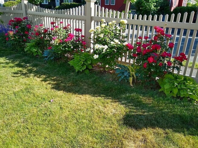 Building Photo - 10 Marrigan St