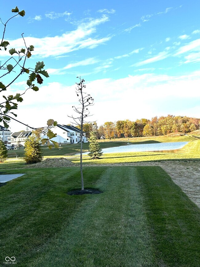 Building Photo - 3279 Haflinger Dr