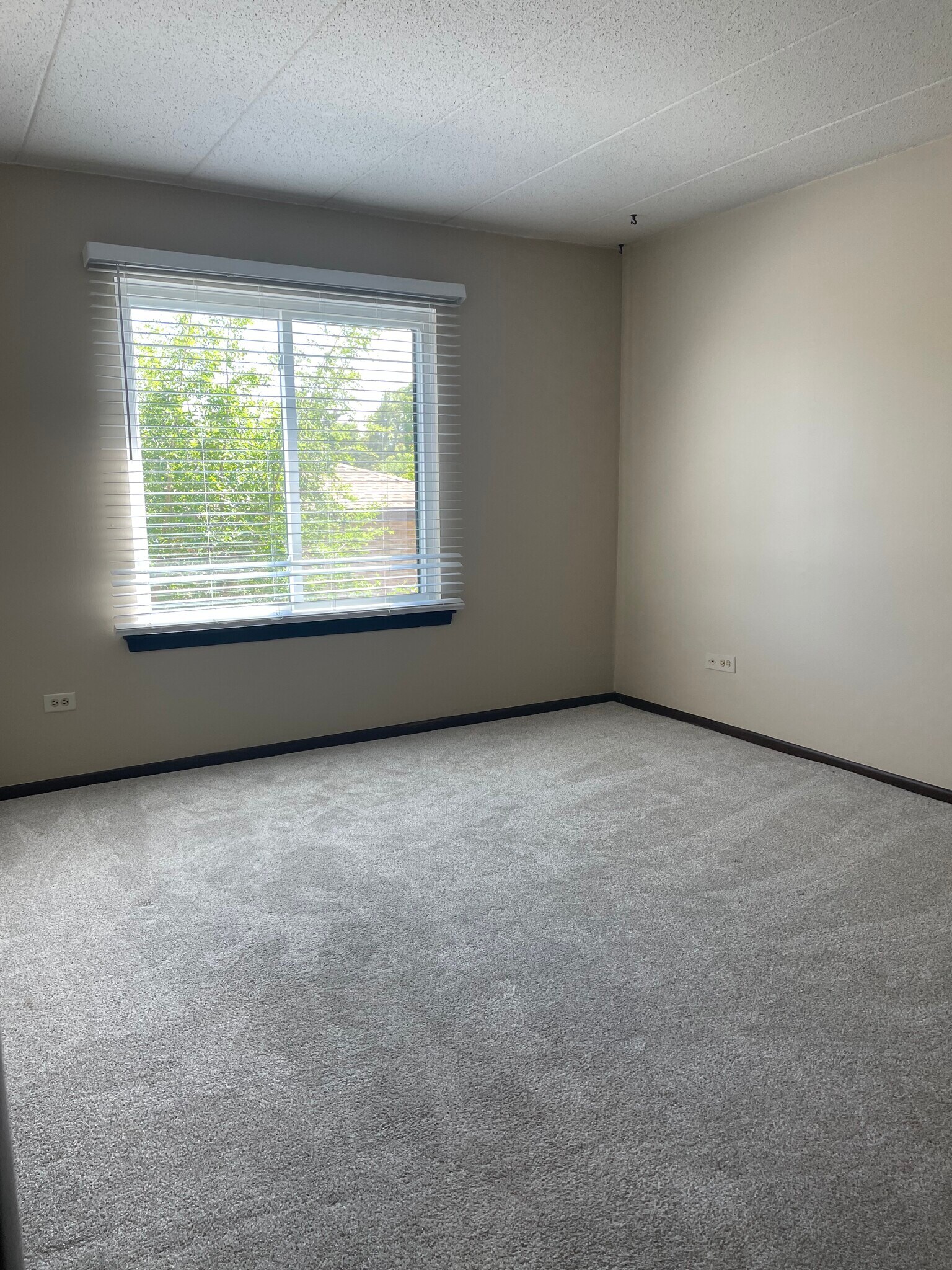 Building Photo - 13628 Royal Ct