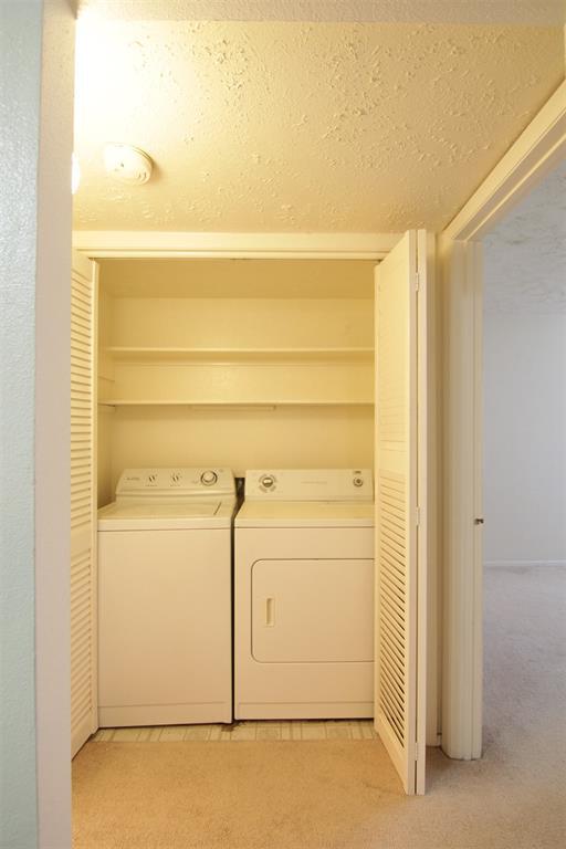 Building Photo - 10555 Turtlewood Ct