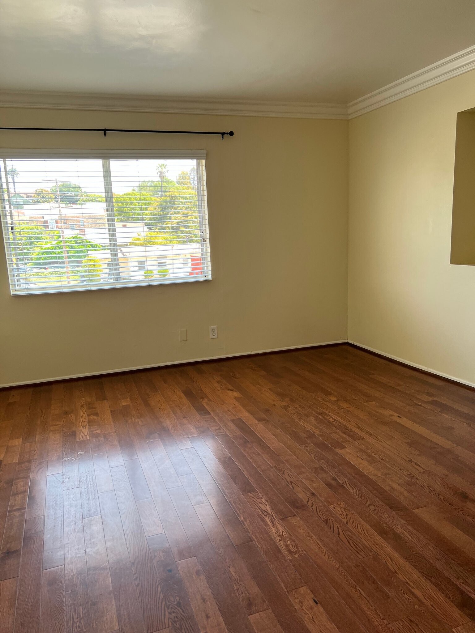 Building Photo - 1101 Laveta Terrace