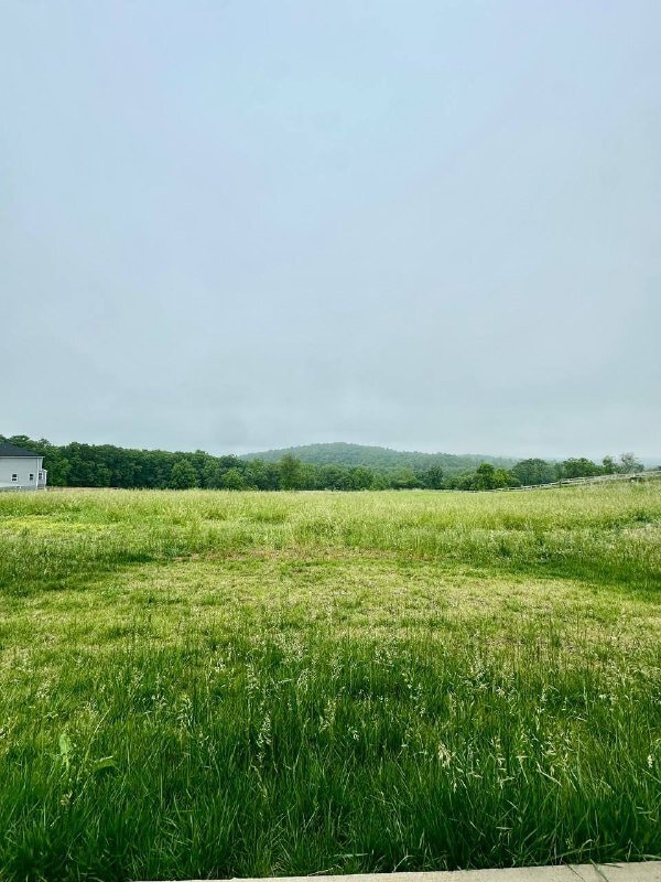 Building Photo - 9080 Piney Mountain Rd