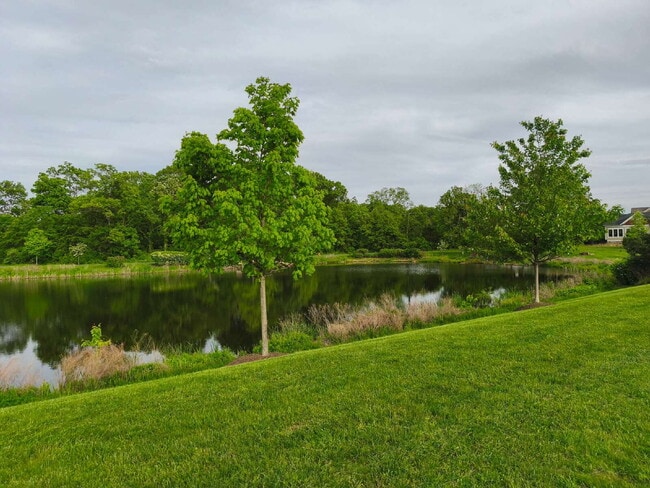 Building Photo - Exquisite Willowsford Residence with Main ...